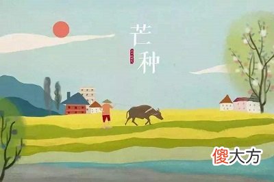 2020年芒种节气是几点几分？芒种是干什么的日子？