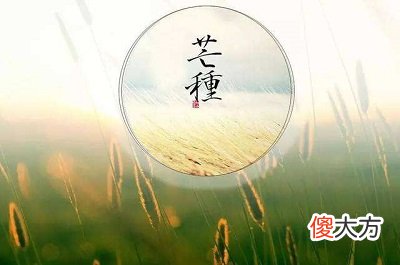 2020芒种是什么日子？芒种节气的特点是什么？
