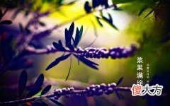 2020芒种是什么日子？芒种节气的特点是什么？