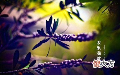 2020芒种是什么日子？芒种节气的特点是什么？
