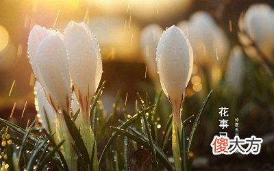 2020芒种是什么日子？芒种节气的特点是什么？