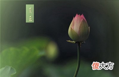2020今年夏至是农历什么日子？夏至不同房是真的吗？