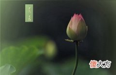 2020年夏至是几月几号几点？夏至这天下雨好不好？