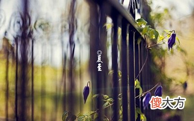 夏至前一天是什么日子？2020年夏至前一天适合结婚吗？