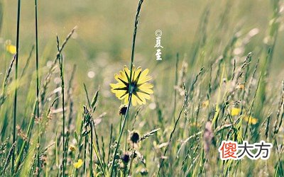 今年夏至那天是什么日子？2020夏至财神方位解析