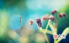 2020年夏至是几月几号？夏至这天白天最长吗？