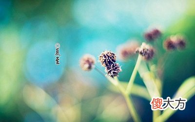 2020年夏至是几月几号？夏至这天白天最长吗？