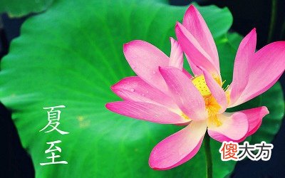 2020夏至这天日子好吗？夏至这天太阳直射哪里？