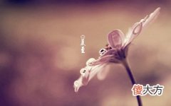 2020夏至这天日子好吗？夏至这天太阳直射哪里？