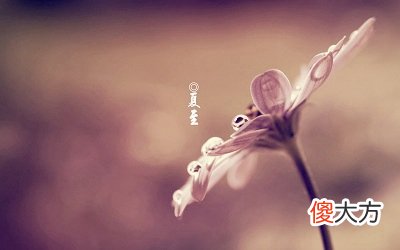 2020夏至这天日子好吗？夏至这天太阳直射哪里？