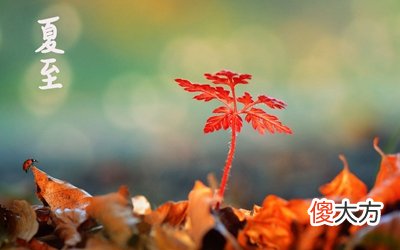 夏至不下雨有什么说法？2020夏至北斗星斗柄指向哪？