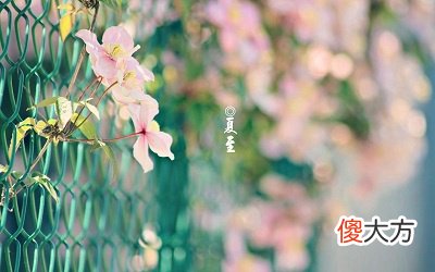 夏至有哪些风俗和民俗活动？2020夏至在农历几月几日？