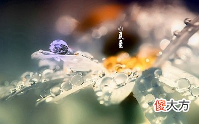 2020夏至前一天有什么忌讳？夏至是怎么计算推出来的？
