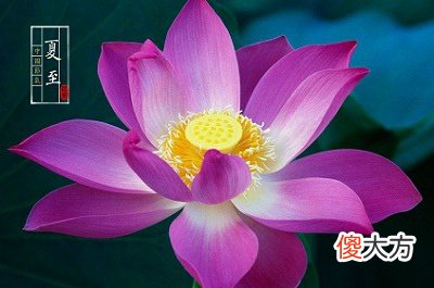 2020夏至前一天有什么忌讳？夏至是怎么计算推出来的？