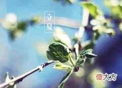 2020年立夏前一天是什么日子,立夏前一天是不是黄道吉日？