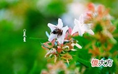 2020年6月21日夏至是几点几分？2020夏至订婚可以吗？