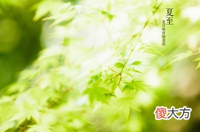 2020夏至可以出殡？夏至的时间日子是农历还是公历？