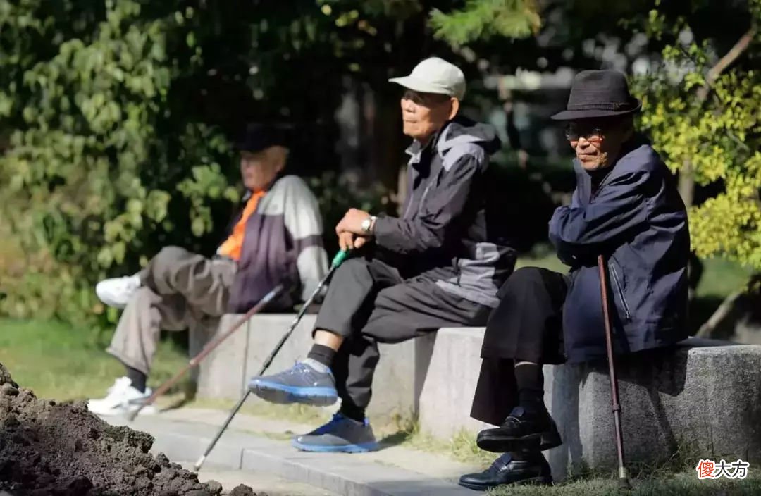 三孩政策来了，哪些专业会比较热门呢？