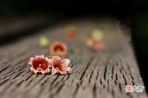 八字贫富贵贱判断