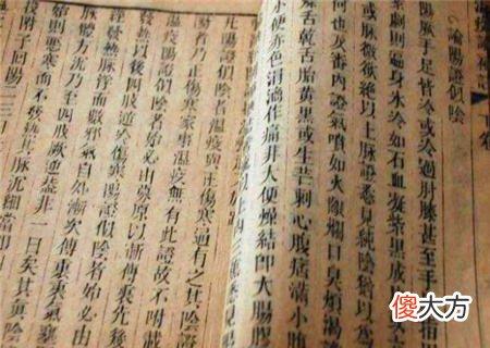 甲子日的命理