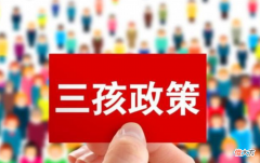 三胎政策无人响应？经济专家任泽平：90后靠不住，生育观念变了