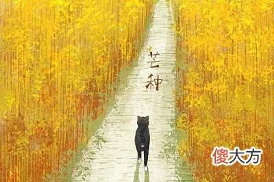 2020年芒种搬家好不好？芒种前一天是什么日子？