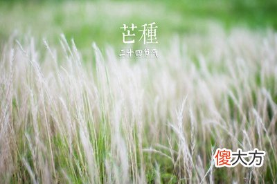 2020年芒种搬家好不好？芒种前一天是什么日子？