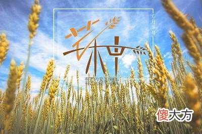 芒种是什么意思?2020年芒种日子可以乔迁新家吗?