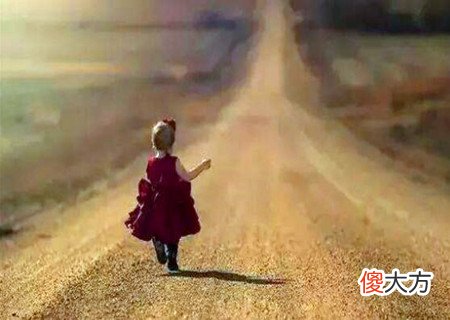 十二宫代表的人生归途