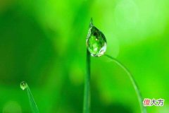 乙木上等八字格局