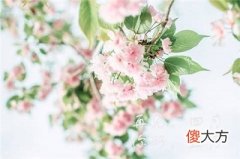2020农历五月有没有三十？农历五月是什么属相？