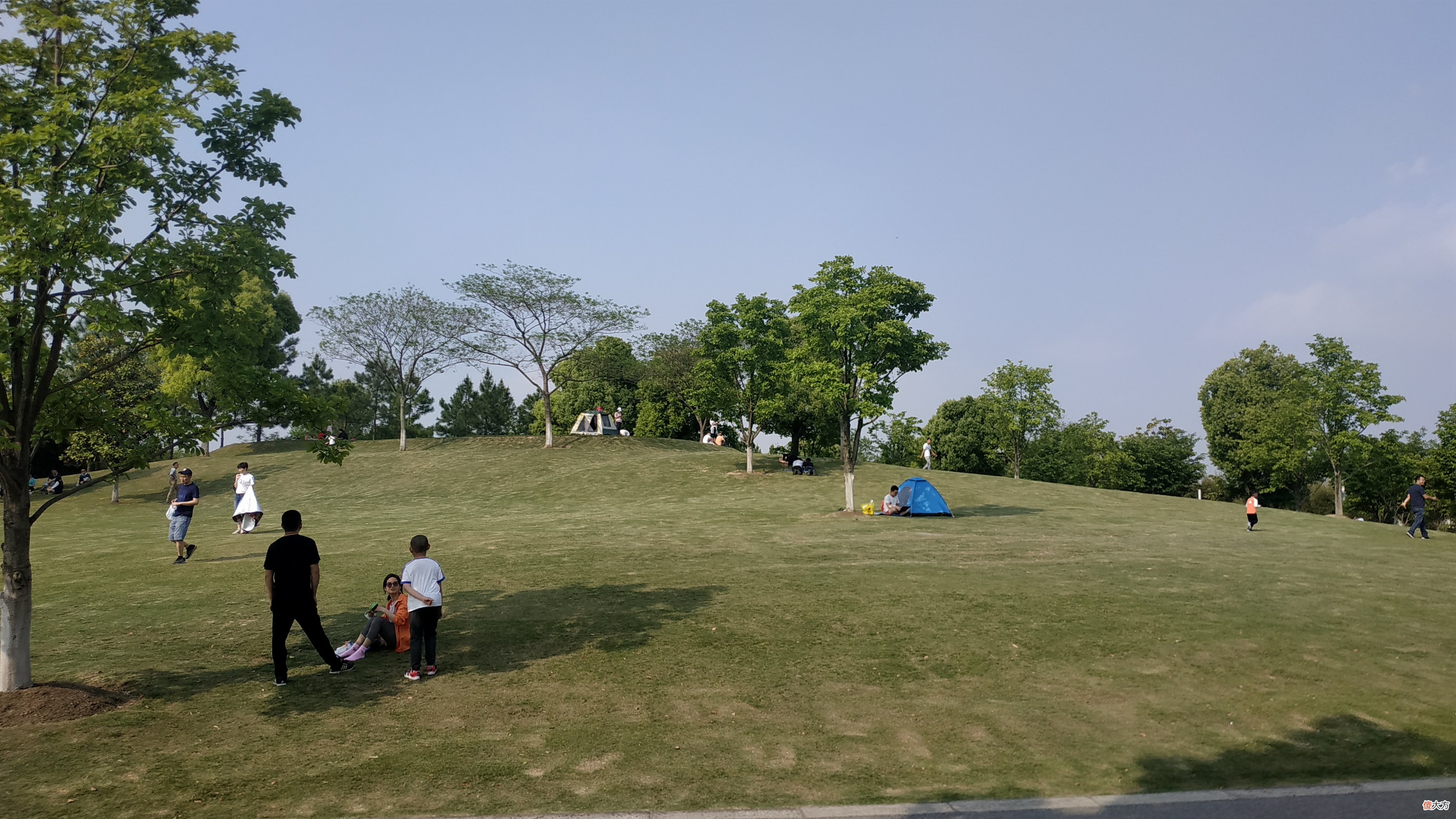 优秀的孩子，长大以后只会与父母亲渐行渐远，不禁让家长们感慨良久