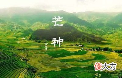 芒种后适合种什么?2020年芒种后一天是黄道吉日吗?
