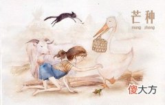 芒种后适合种什么？2020年芒种后一天是黄道吉日吗？