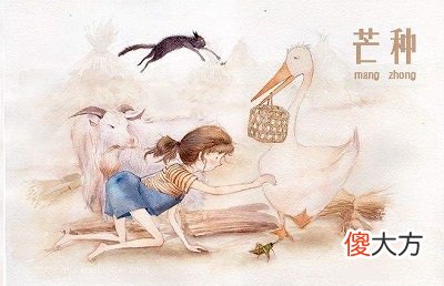 芒种后适合种什么?2020年芒种后一天是黄道吉日吗?