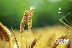 2020芒种前一天是吉日？芒种后第一个丙日是什么意思？