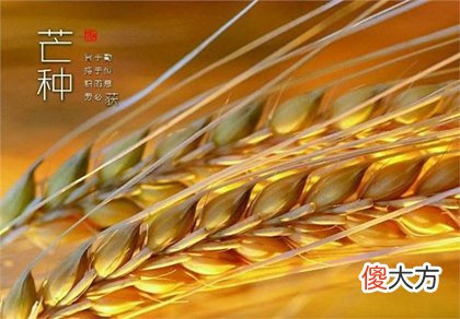 2020年芒种当天黄历不能做什么,2020年哪一天入梅？