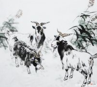 【星座控】生肖兔女人嫁给啥属相的丈夫，衣食无忧，生个胖娃，福气到老