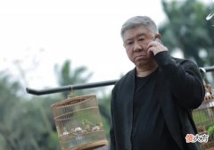 【爱历史】罚罪：纪虑真实身份曝光，严国华看破赵啸声和赵鹏超的部署