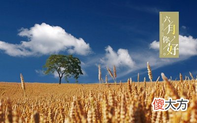 2020庚子鼠年农历六月不宜结婚的日子有哪些？