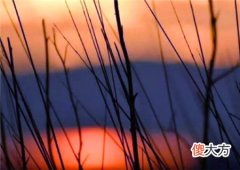 八字中正偏印是什么意思