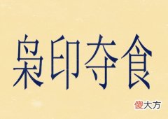 八字枭印夺食代表何意