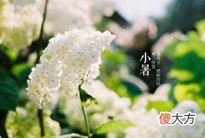 2020年小暑是什么时候？这天适合领结婚证吗？