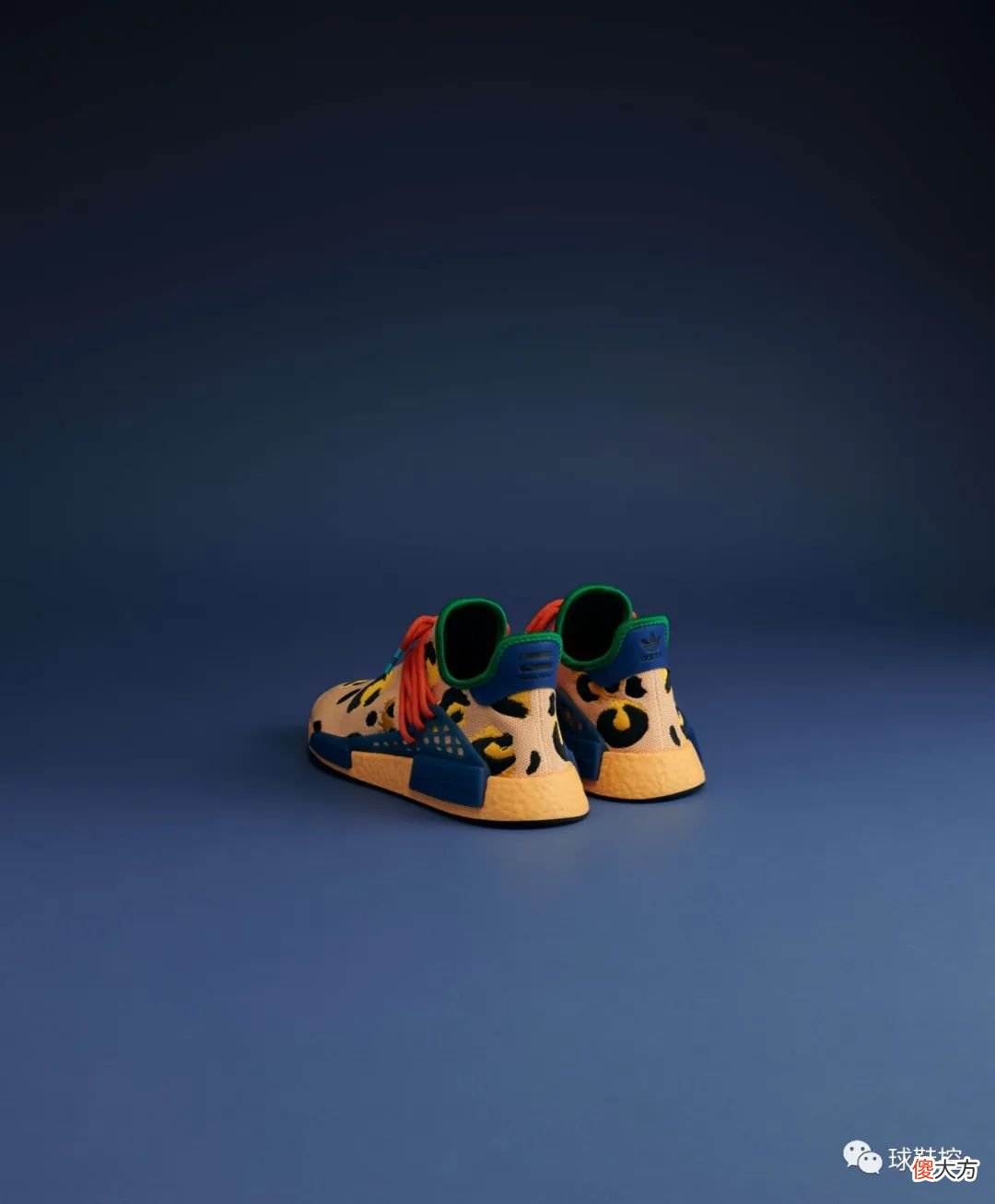 【时尚一点】Pharrell x adidas 新联名国内官宣&BLACKPINK 演绎 NMD 最新款!
