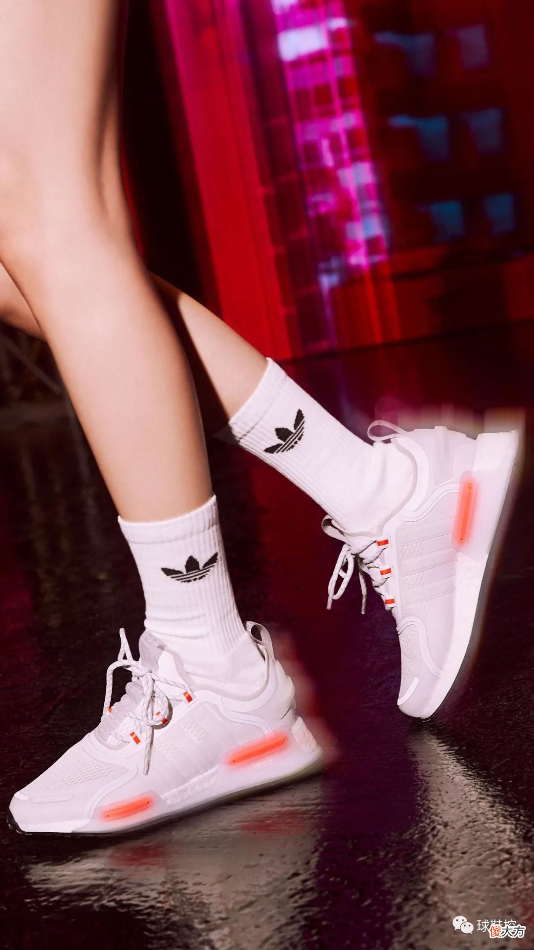 【时尚一点】Pharrell x adidas 新联名国内官宣&BLACKPINK 演绎 NMD 最新款!
