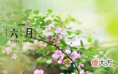 农历六月出生要几月怀孕？2020农历六月出生的是什么星座？