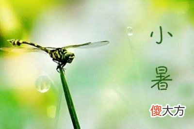 2020小暑是几月几日星期几?今年小暑是什么日子?