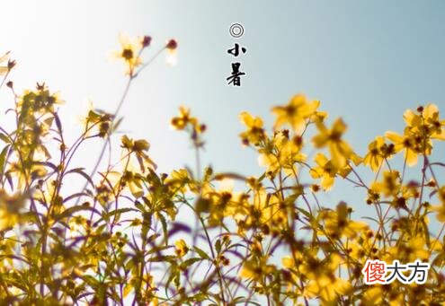 小暑有什么传统活动,2020年7月6日小暑搬家好吗？