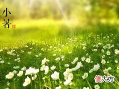 小暑有什么传统活动,2020年7月6日小暑搬家好吗？