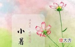 2020年小暑节气进入三伏天了吗,2020三伏天时间表！